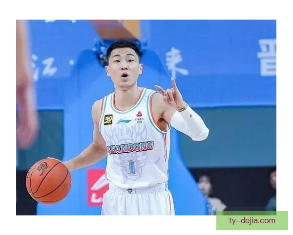 高诗岩呼吁本土站出来王证精神