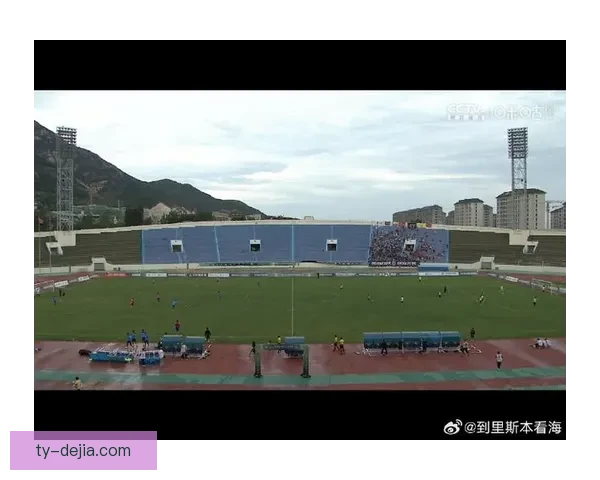 泰安天贶携手HUMMEL开启合作